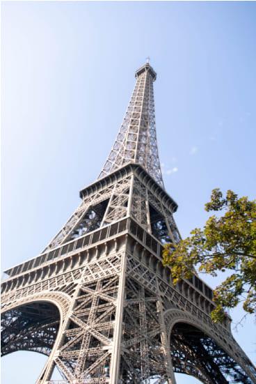 section-fit-image