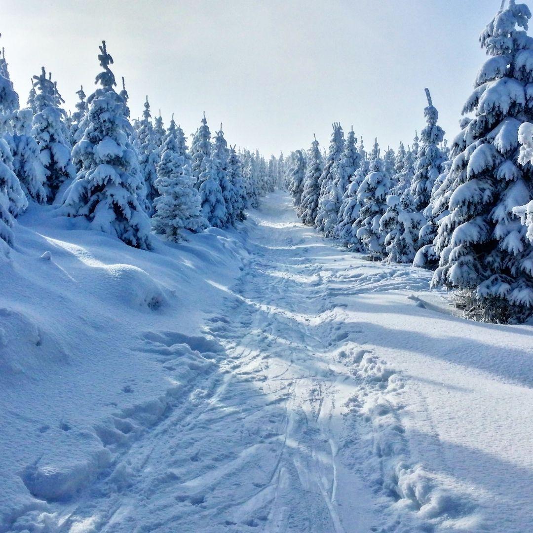 Tattoos mit Wintermotiv - Inspirationen für den Nikolaustag