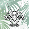 Modliszka Studio Tatuażu's avatar