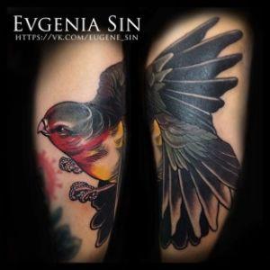 Evgenia Sin artist avatar