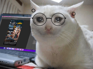 Paweł artist avatar