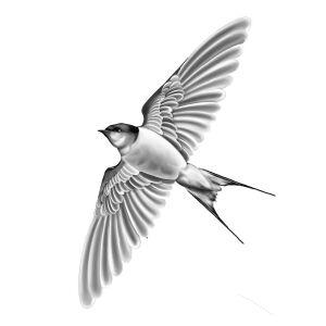Emre Karaali artist avatar