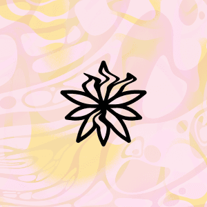 twojastaradziara artist avatar