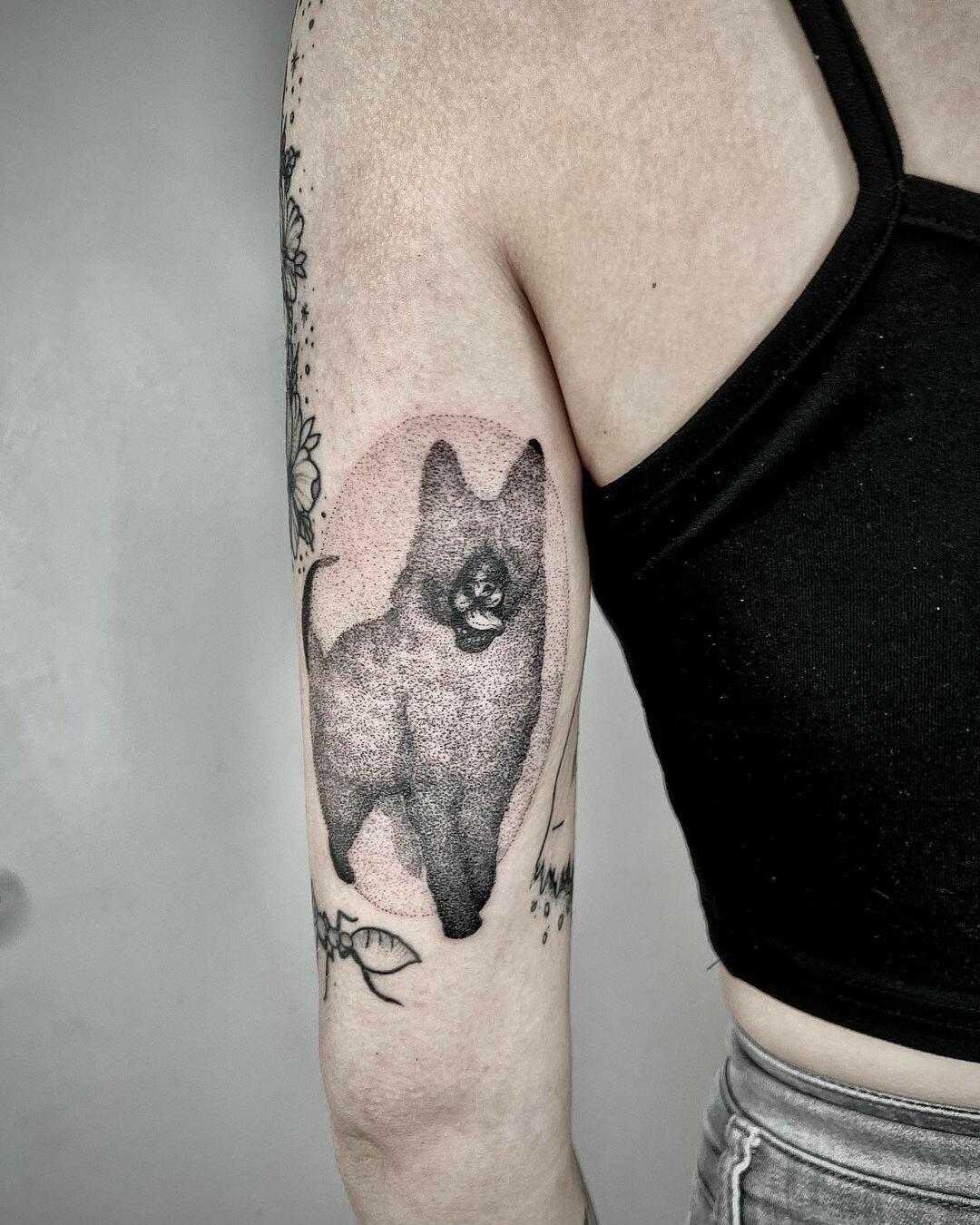 Inksearch tattoo Koti Tattoo Anna Pękala