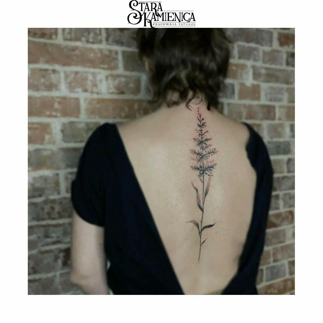 Inksearch tattoo Stara Kamienica Pracownia Tatuażu