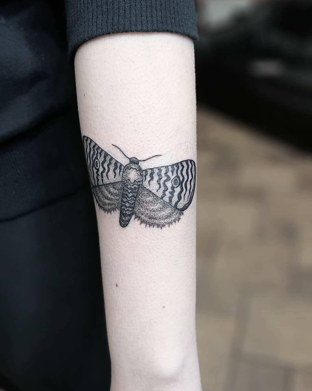 Inksearch tattoo Forsycja_tattoo