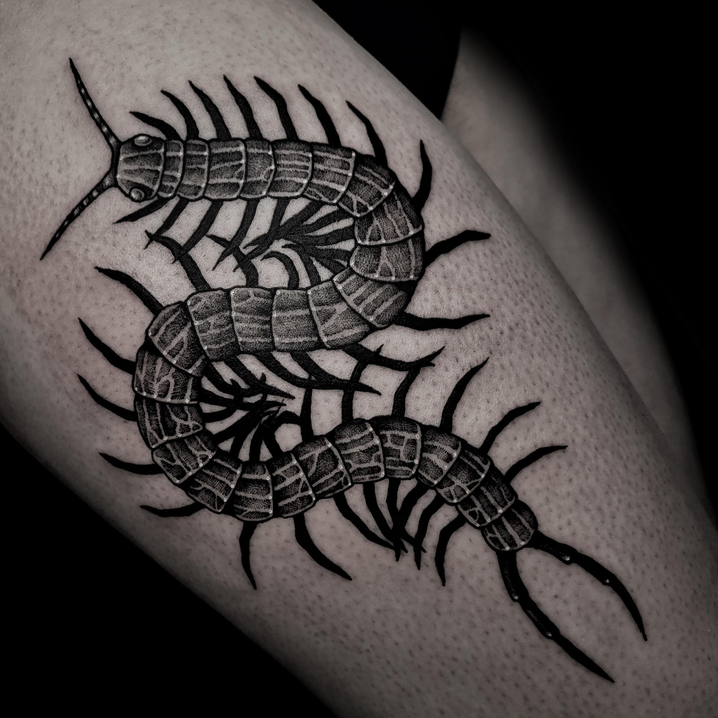 Inksearch tattoo Kitattoo