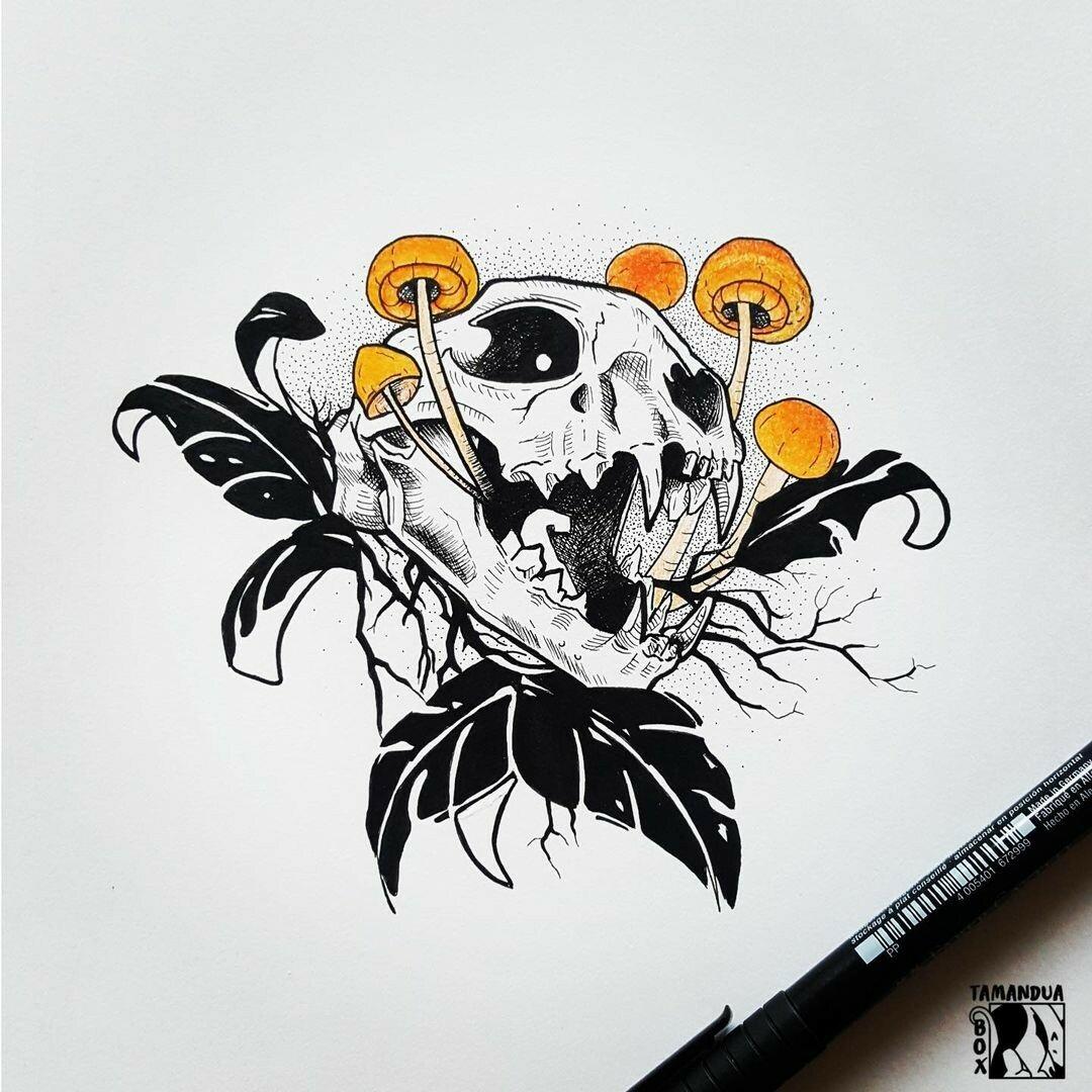 Inksearch tattoo Tamanduabox