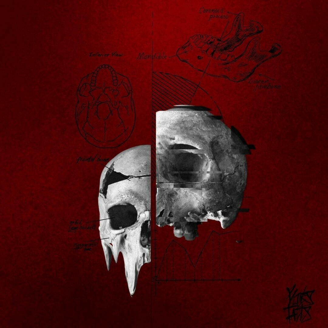 Inksearch tattoo Bones_tatts