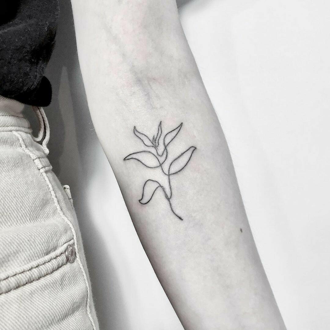 Inksearch tattoo FAJNERZECZYTATUAŻE