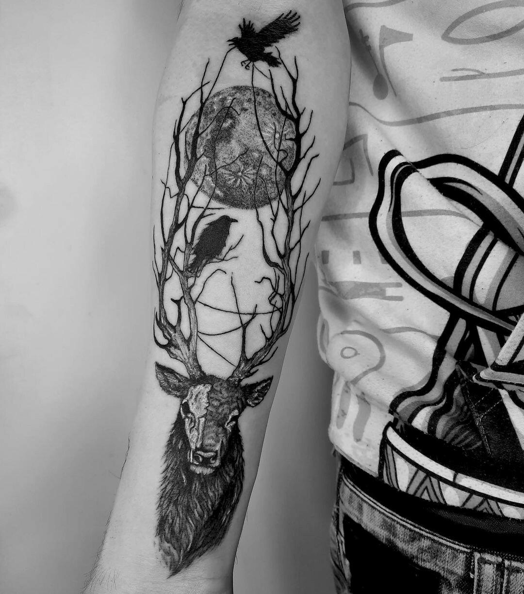 Inksearch tattoo Koti Tattoo Anna Pękala