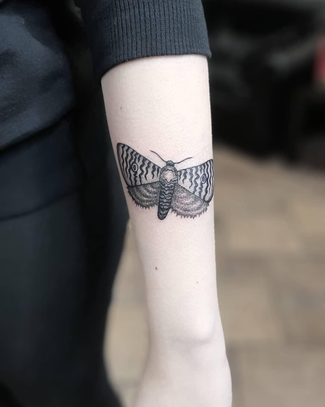 Inksearch tattoo Forsycja_tattoo