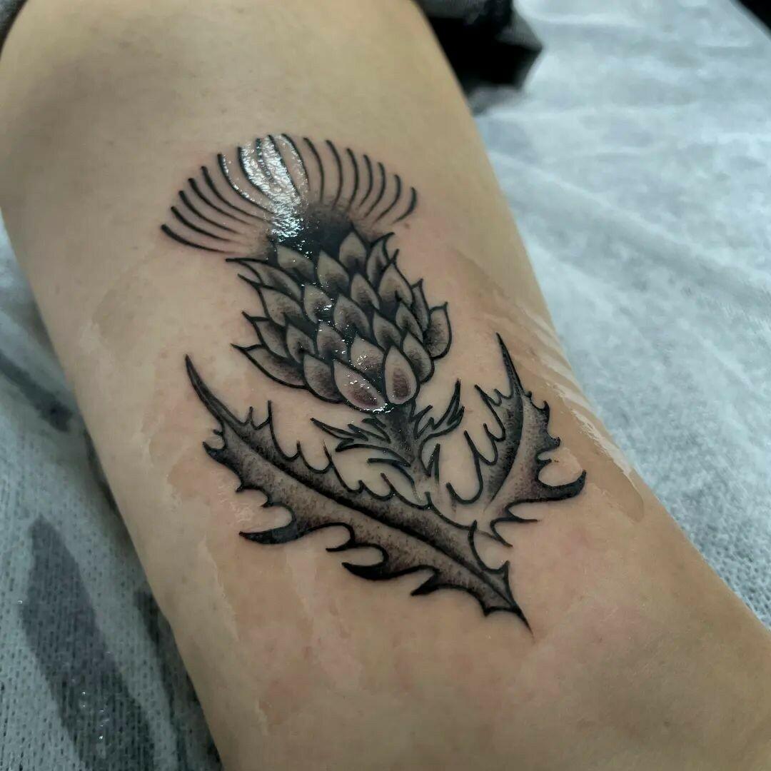Inksearch tattoo jedrzejloga