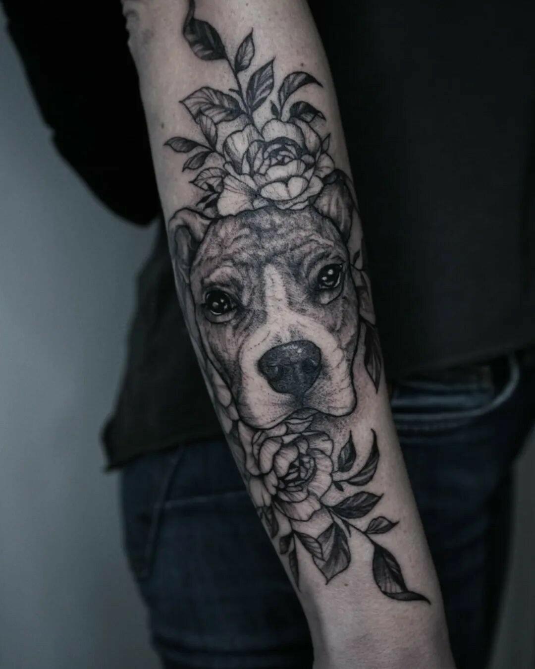 Inksearch tattoo Koti Tattoo Anna Pękala