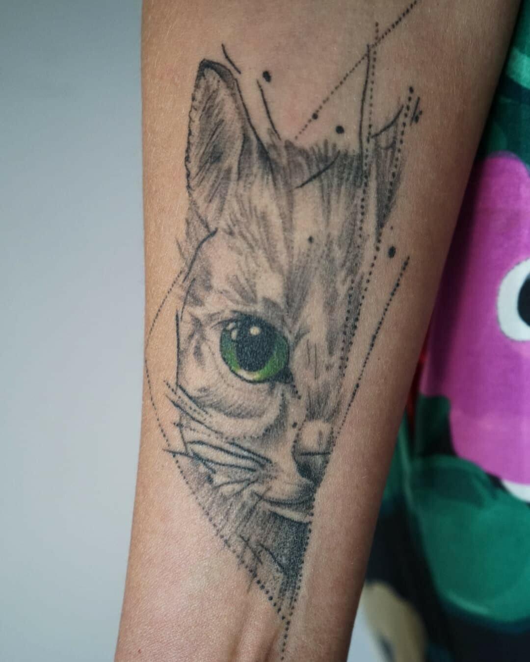 Inksearch tattoo Koti Tattoo Anna Pękala