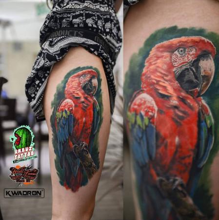 Inksearch tattoo Dero Melancia