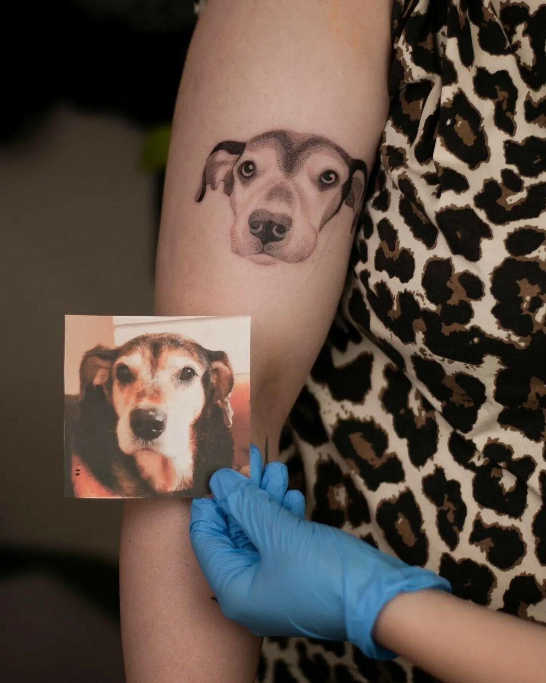 Inksearch tattoo Klarcia Dziarcia