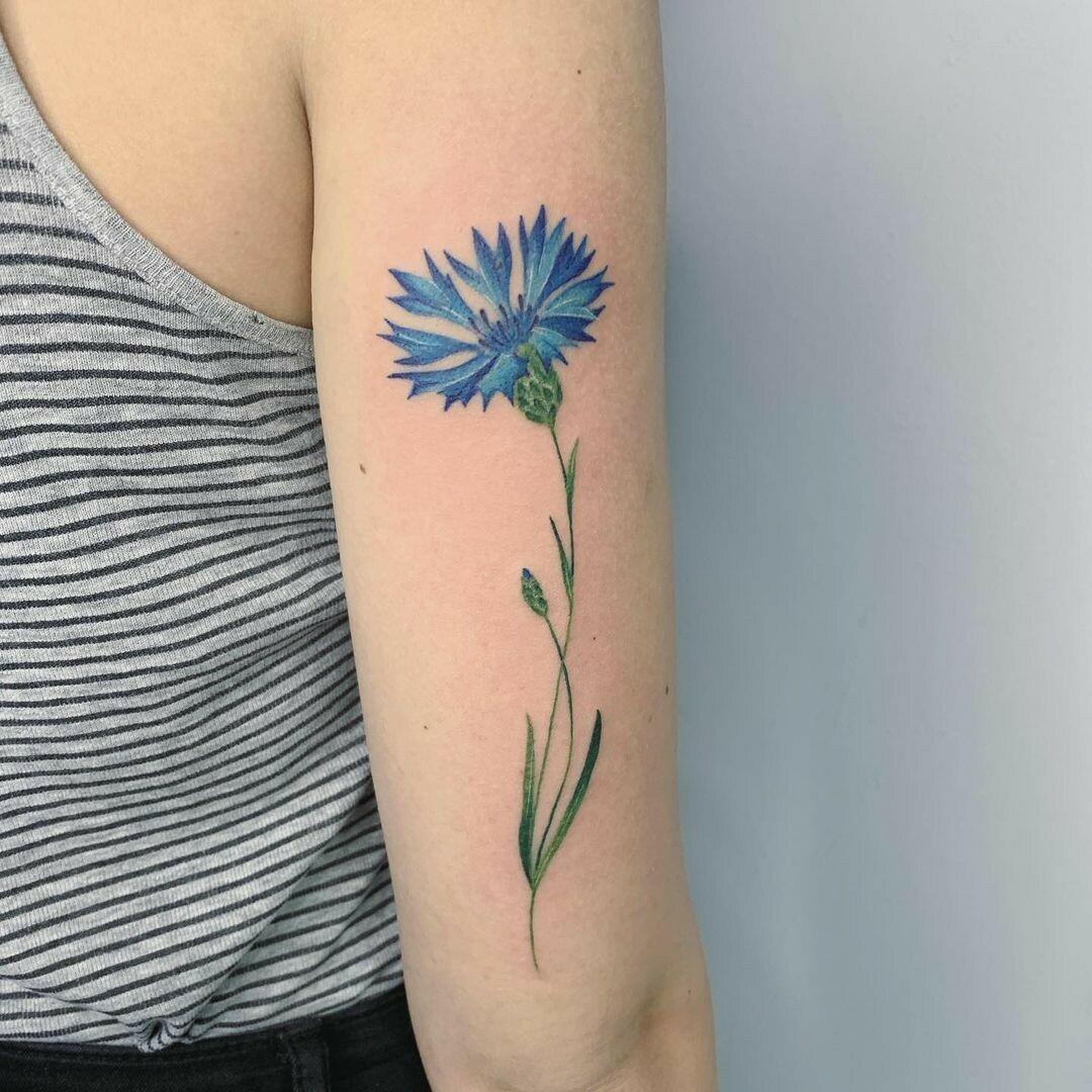Inksearch tattoo Carrot Tattoo - Dominika Rawska