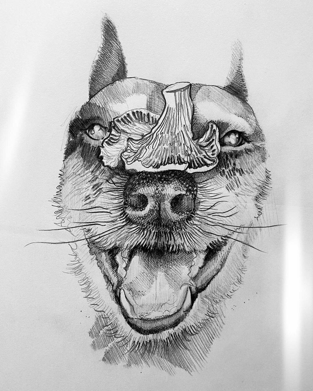 Inksearch tattoo joannabrox