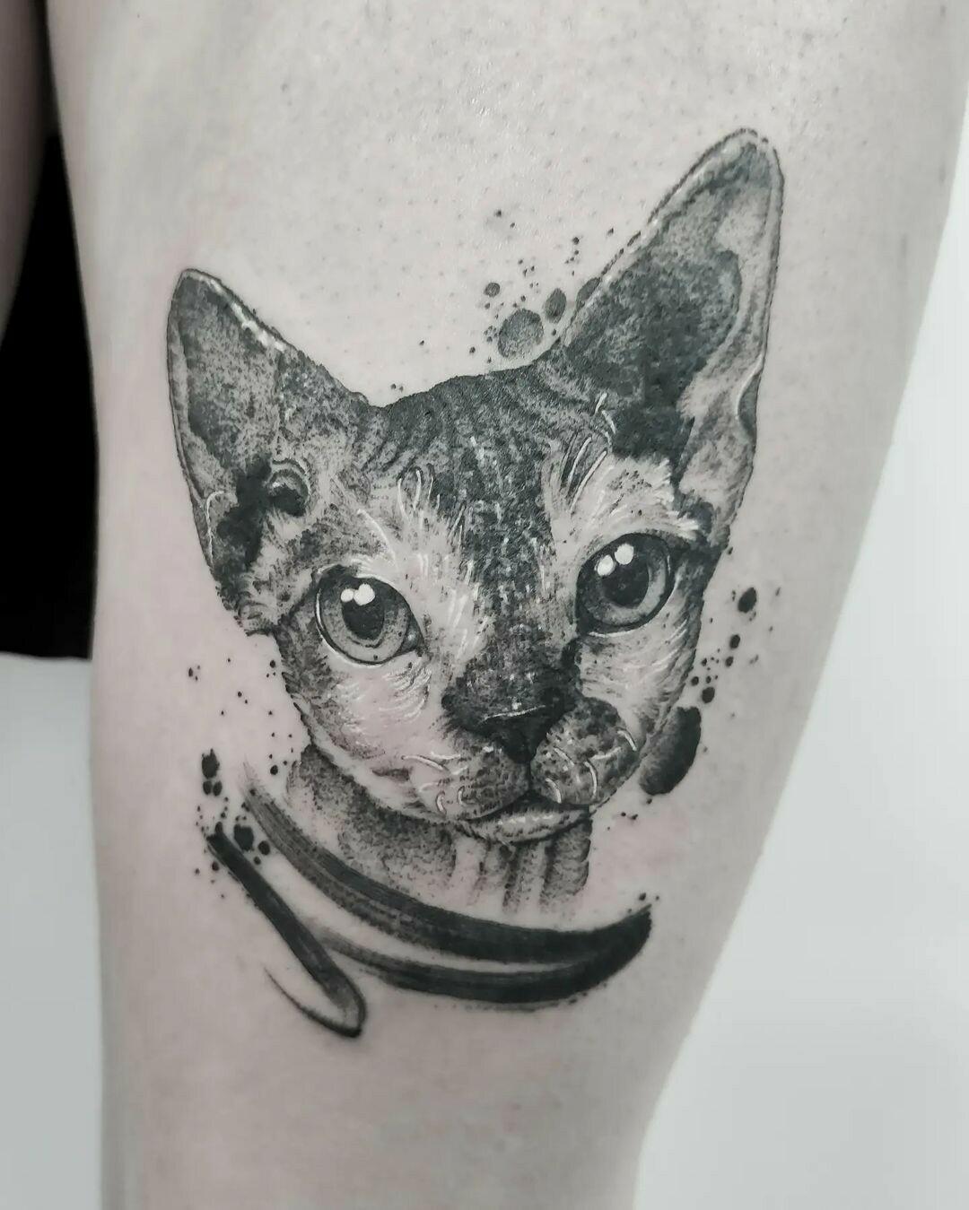 Inksearch tattoo Dziary u Barbary