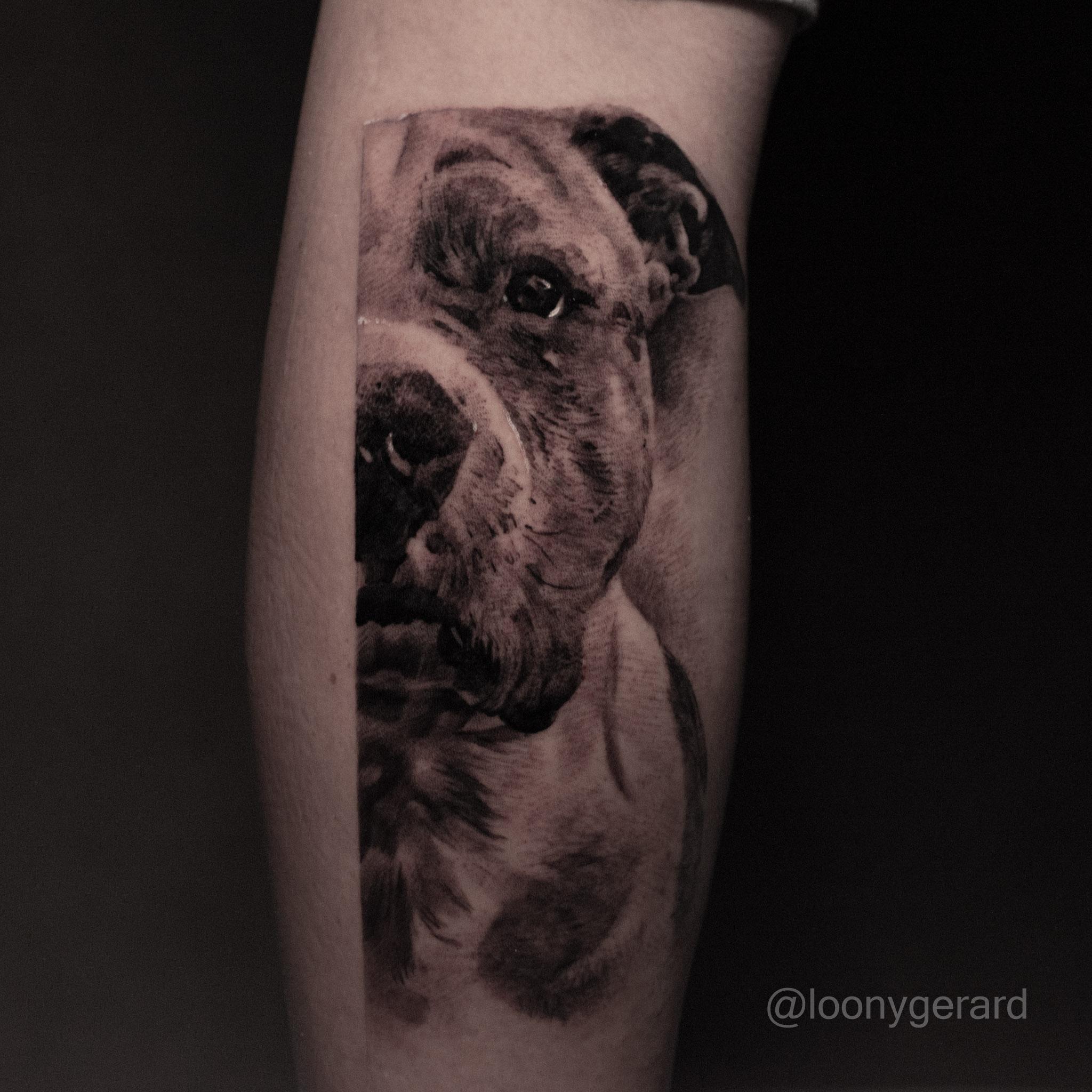 Inksearch tattoo Zmora