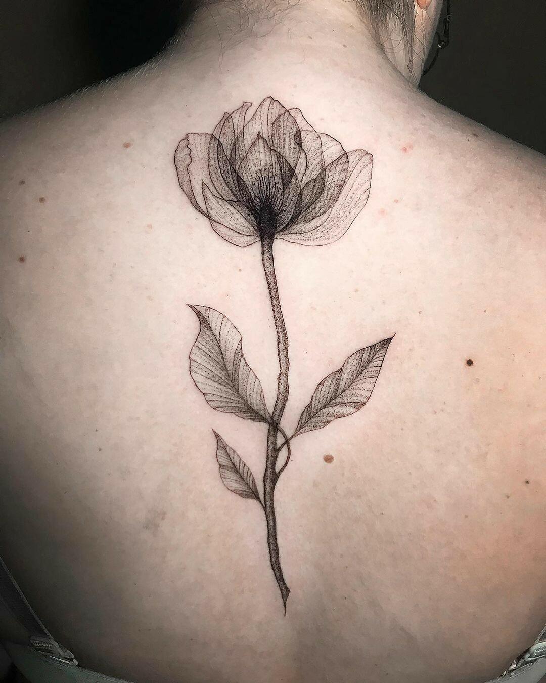 Inksearch tattoo Zajawa Kraków