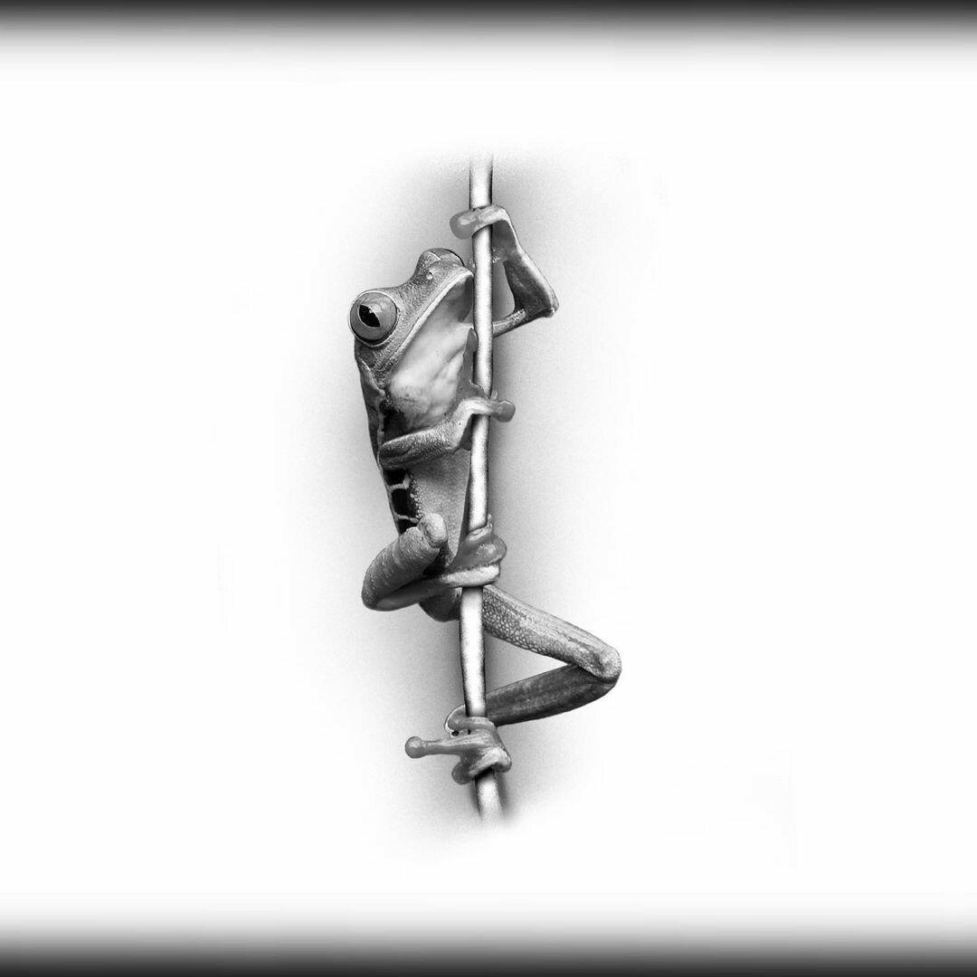 Inksearch tattoo Karel_tattoo