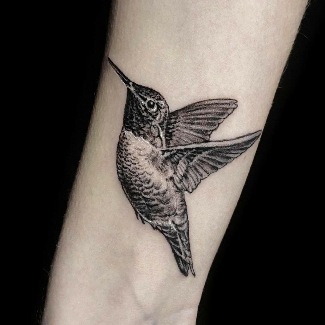 Inksearch tattoo DarkTimes Tattoo & Art Gallery