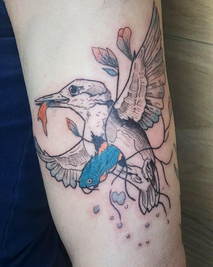 Inksearch tattoo Tamanduabox
