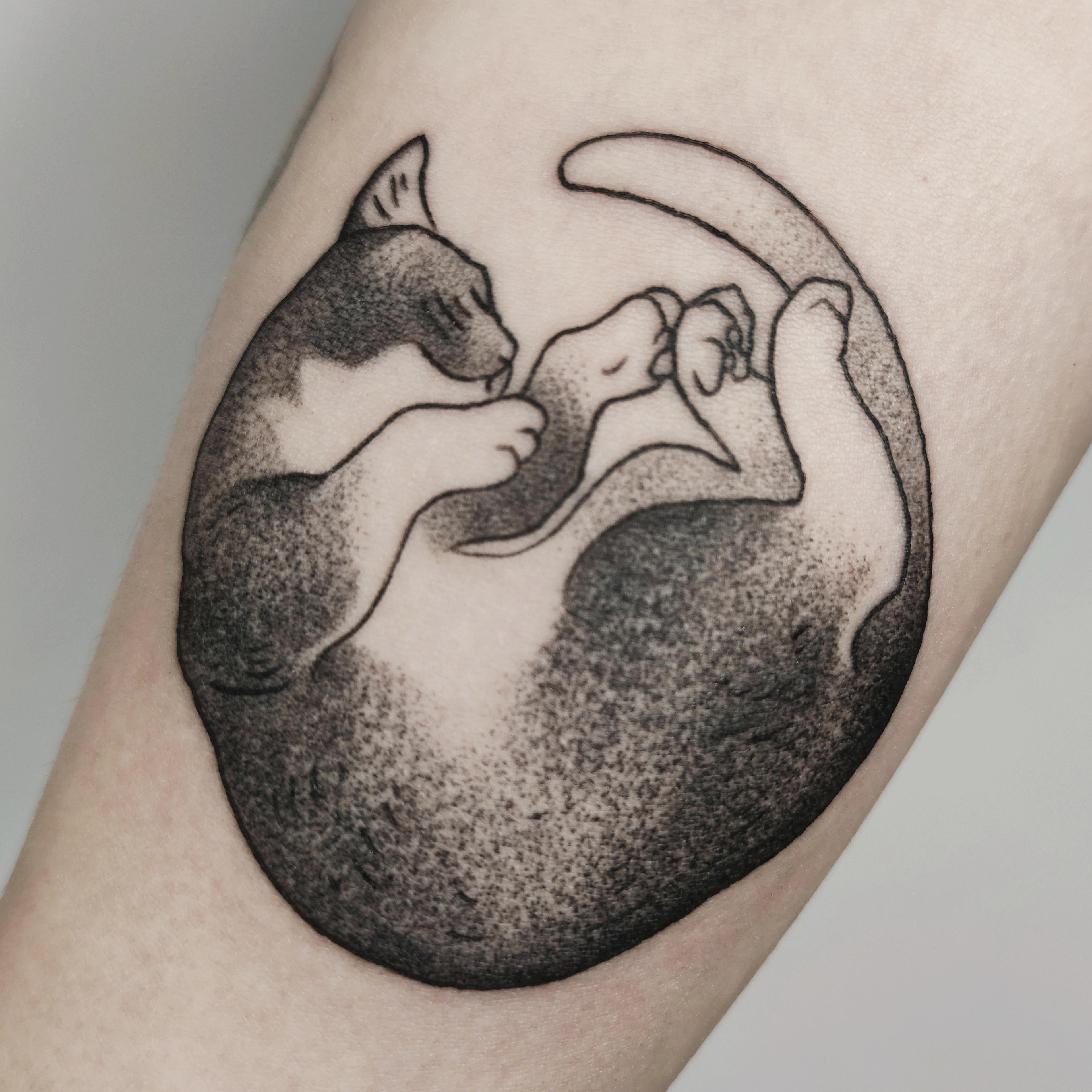 Inksearch tattoo Klarcia Dziarcia