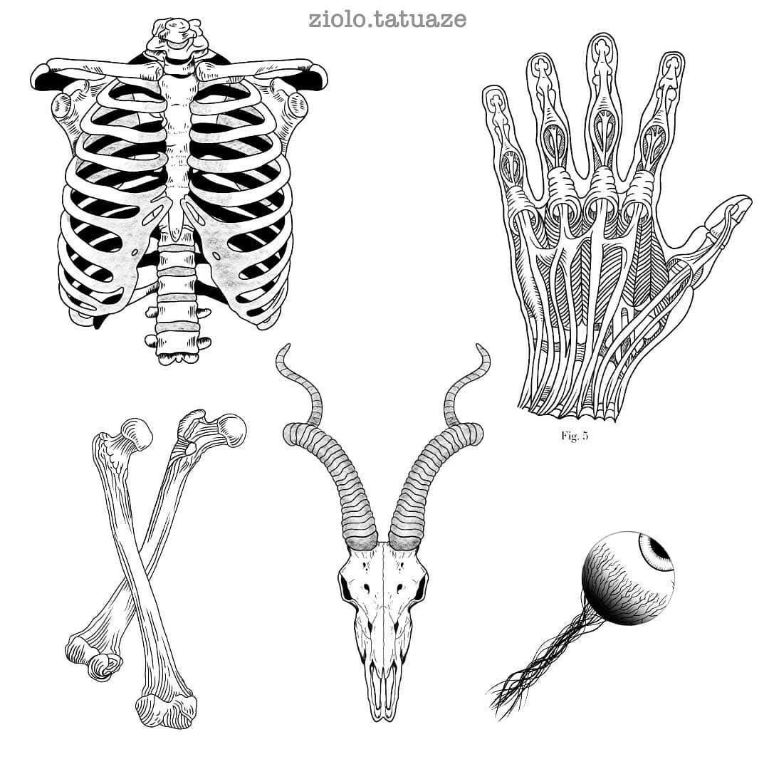 Inksearch tattoo Zioło Tatuaże