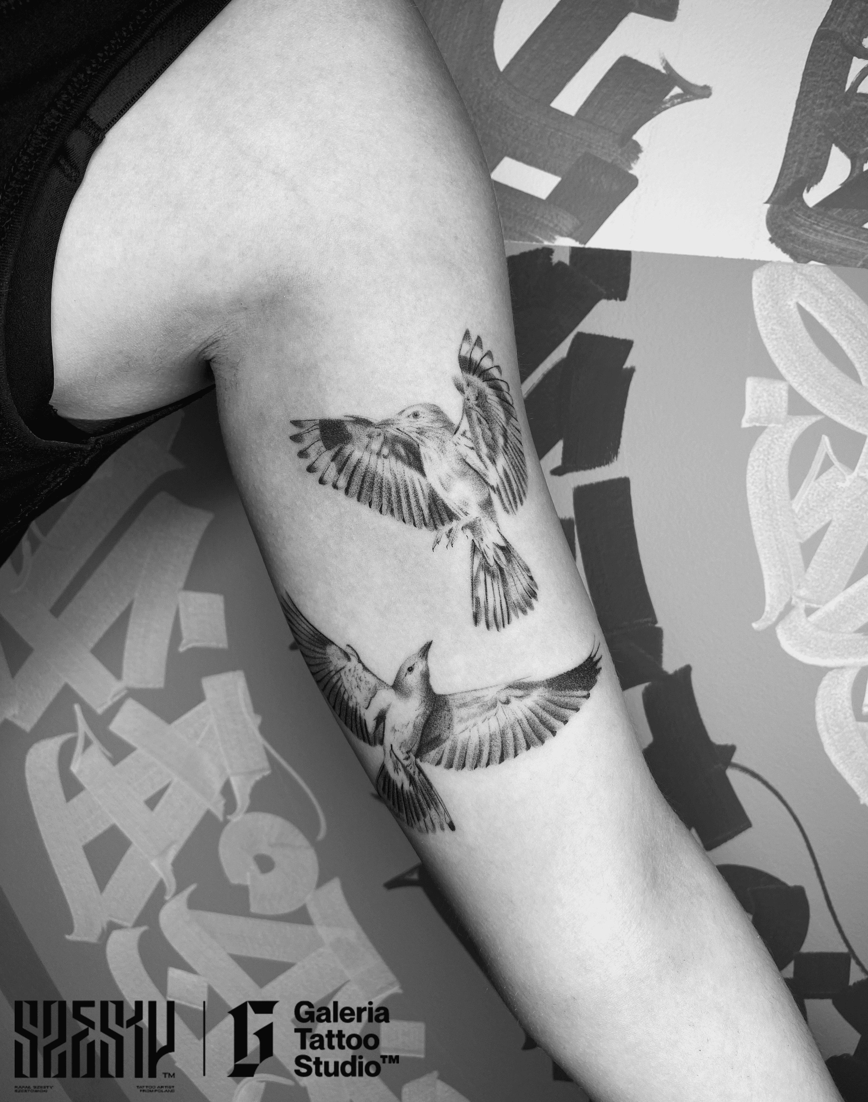 Inksearch tattoo Szesty
