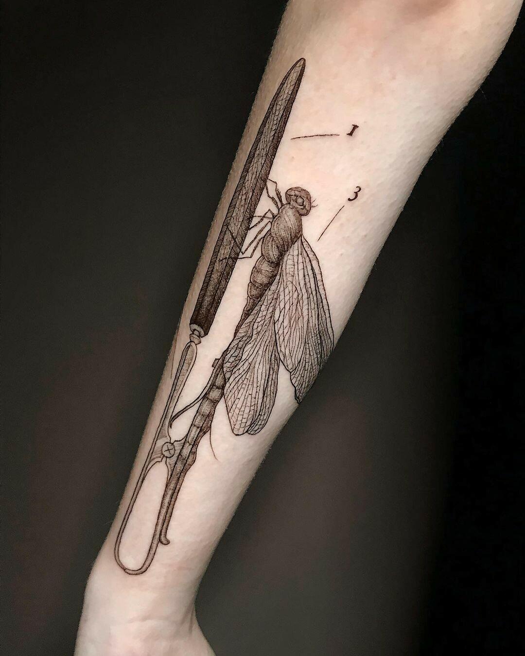 Inksearch tattoo Zajawa Kraków
