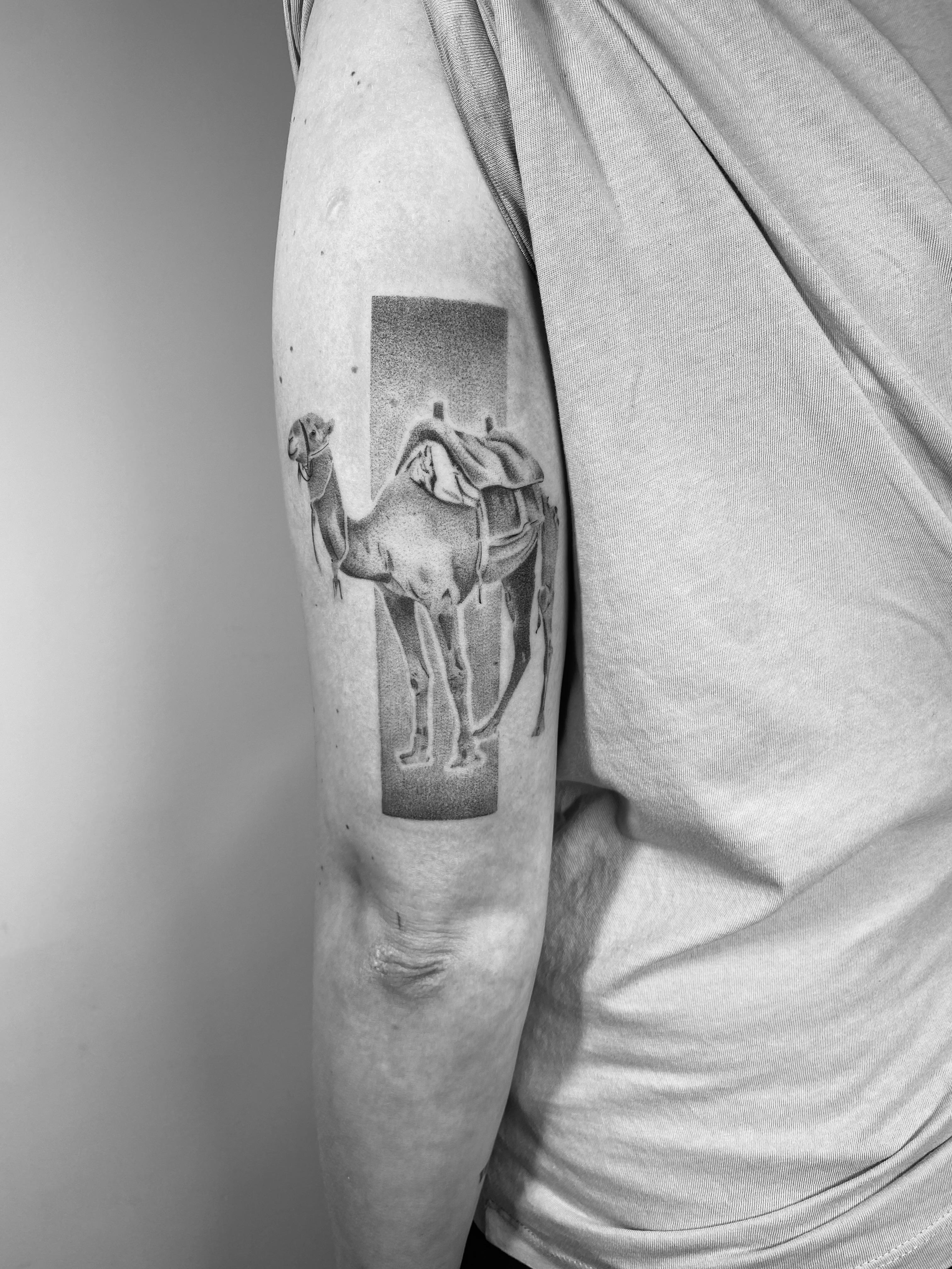 Inksearch tattoo Galeria Tattoo Studio