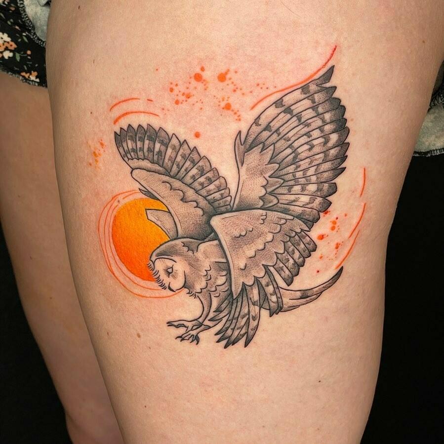 Inksearch tattoo Tamanduabox