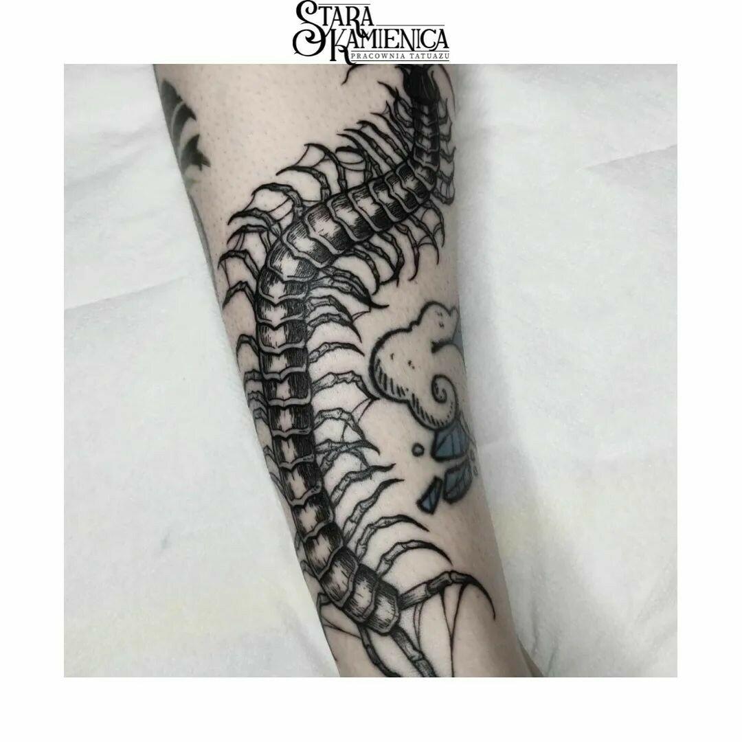 Inksearch tattoo Stara Kamienica Pracownia Tatuażu