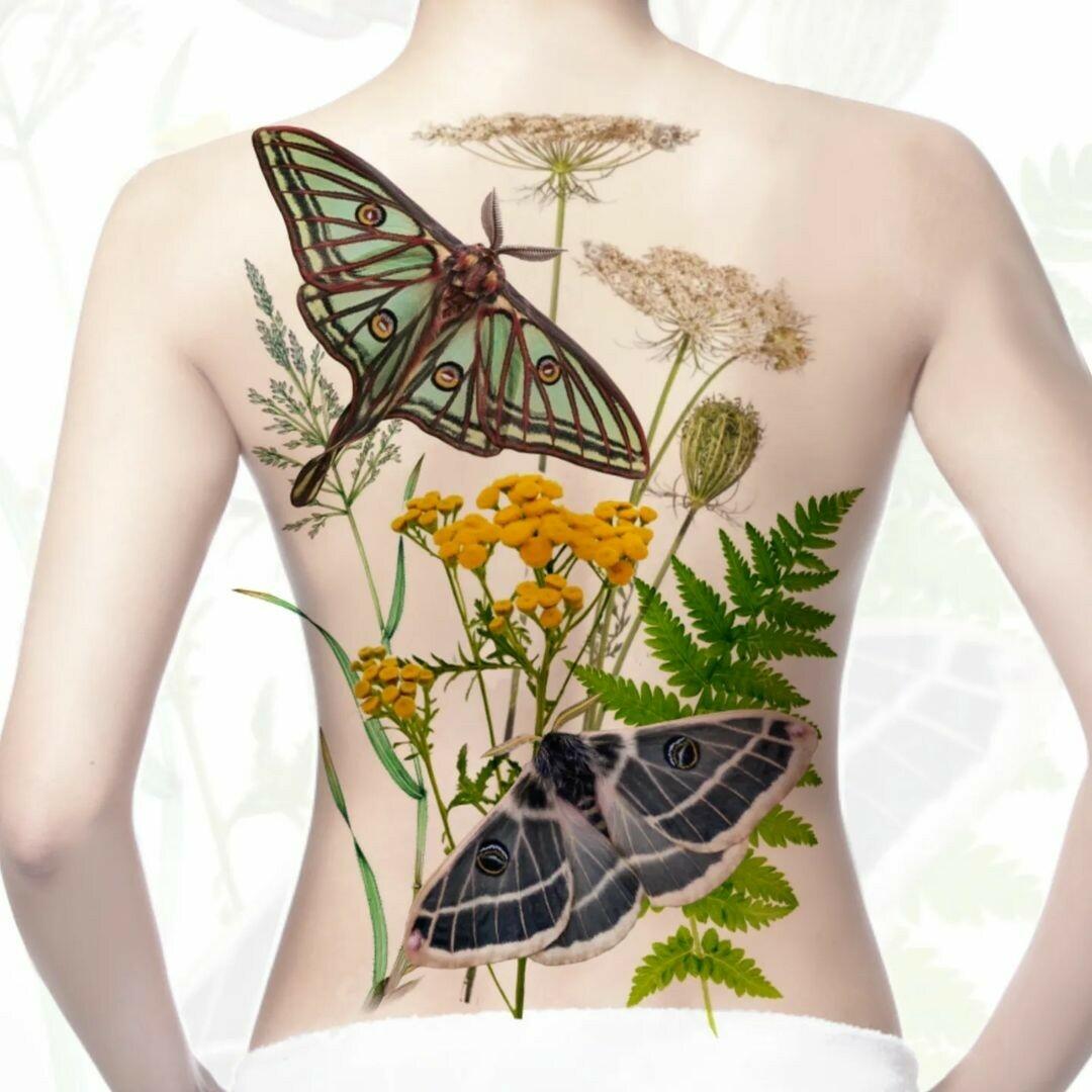 Inksearch tattoo myszata tattoo
