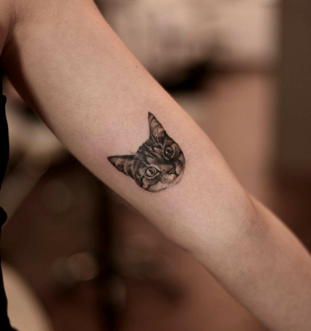 Inksearch tattoo tattoo_ur_bodys