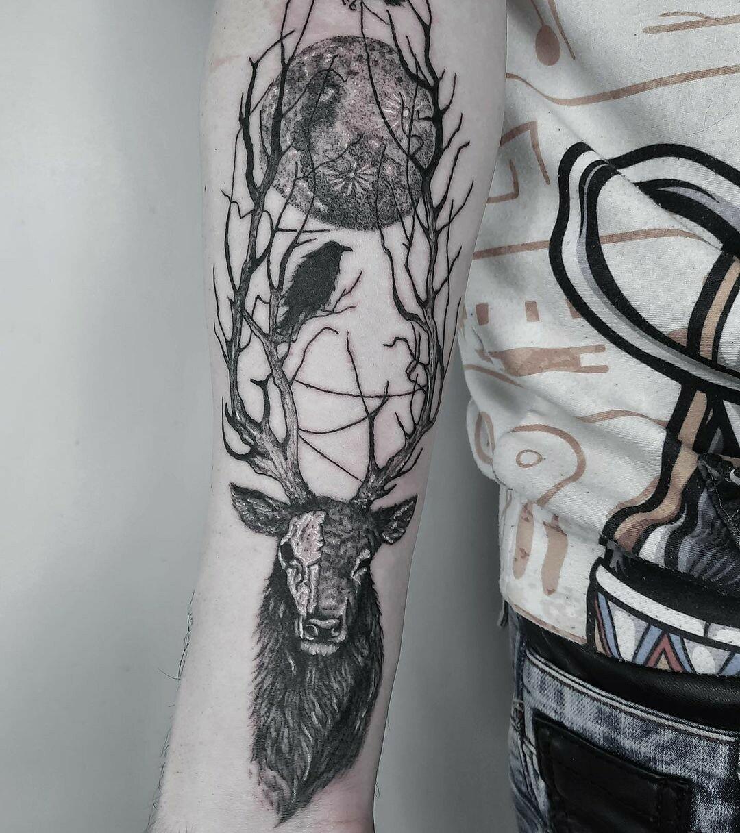 Inksearch tattoo Koti Tattoo Anna Pękala
