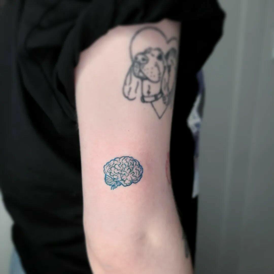 Inksearch tattoo Koti Tattoo Anna Pękala
