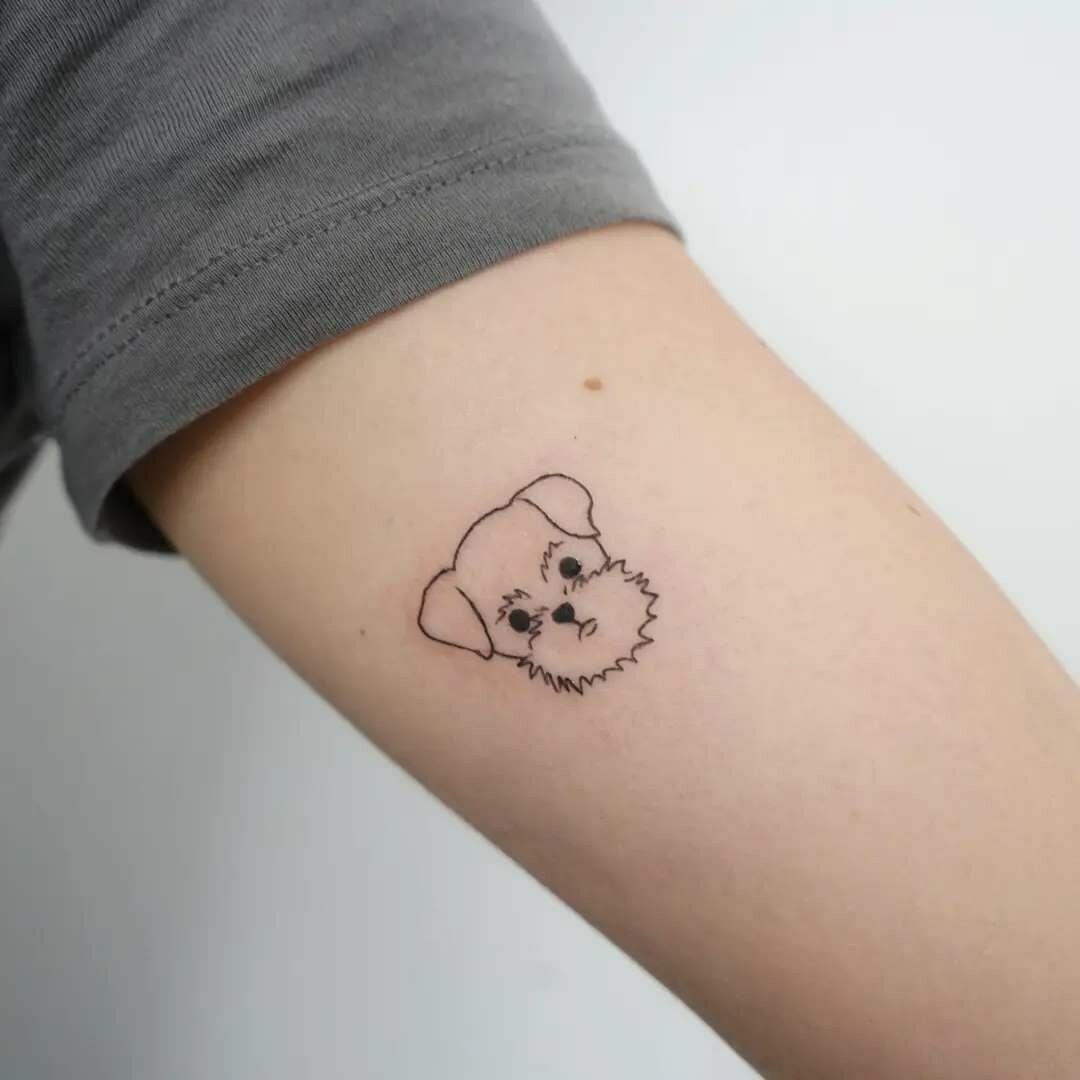 Inksearch tattoo Koti Tattoo Anna Pękala