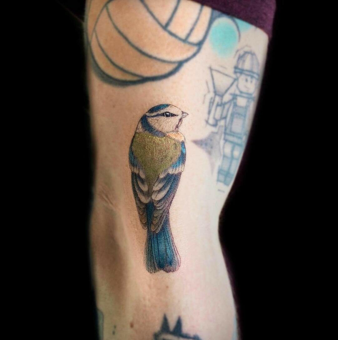 Inksearch tattoo Kwiat Paproci Tattoo by Agnieszka Szneidrowska