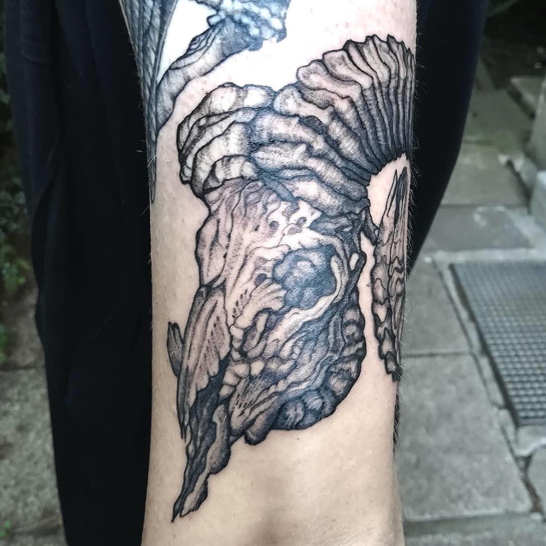 Inksearch tattoo Raven Land Tattoo