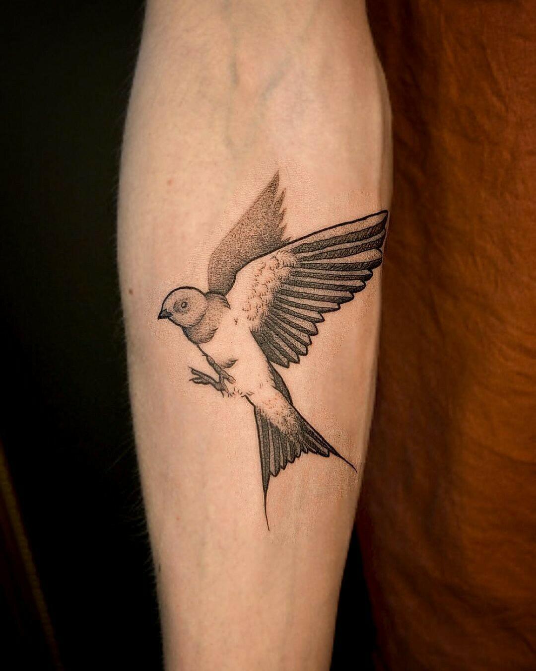 Inksearch tattoo Kwiat Paproci Tattoo by Agnieszka Szneidrowska