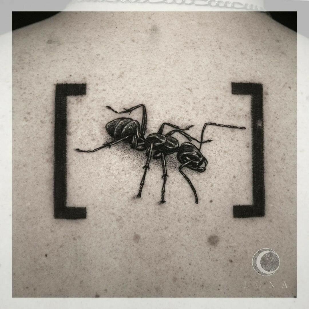 Inksearch tattoo luna tattoo