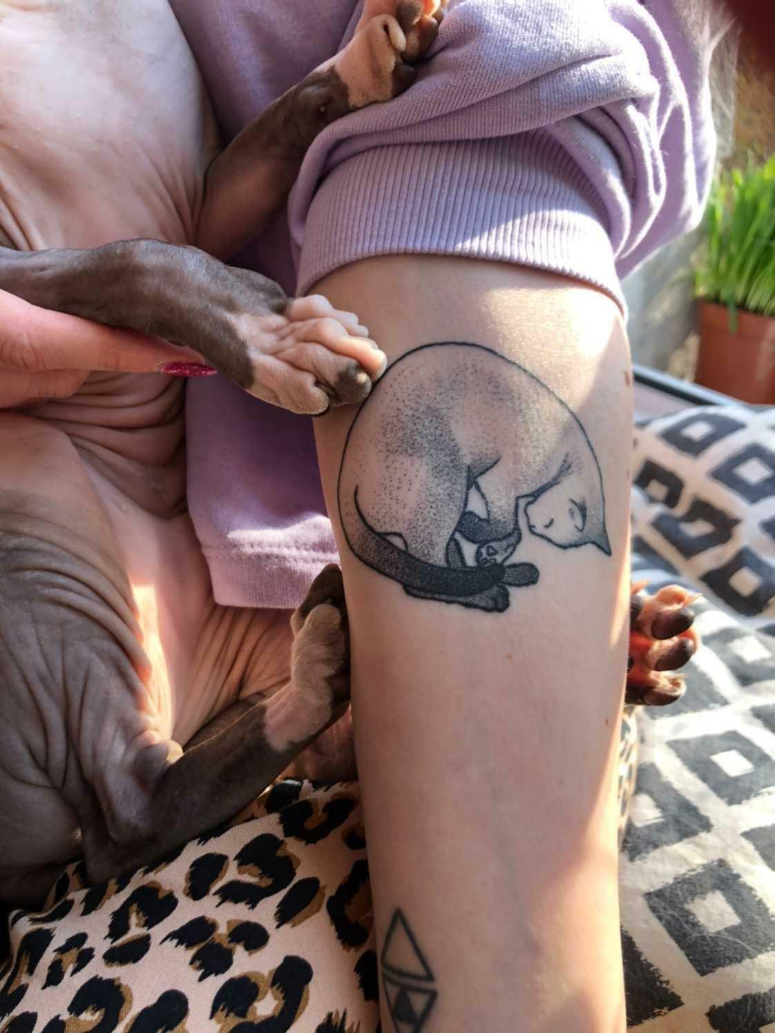 Inksearch tattoo Klarcia Dziarcia