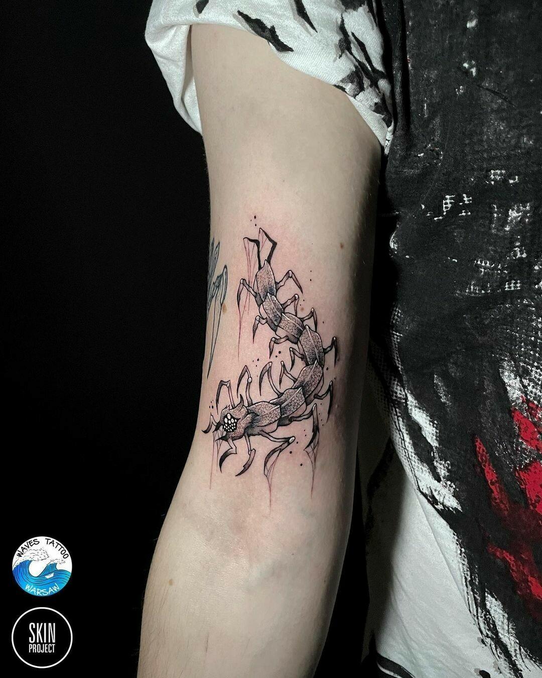Inksearch tattoo Chamski kontur