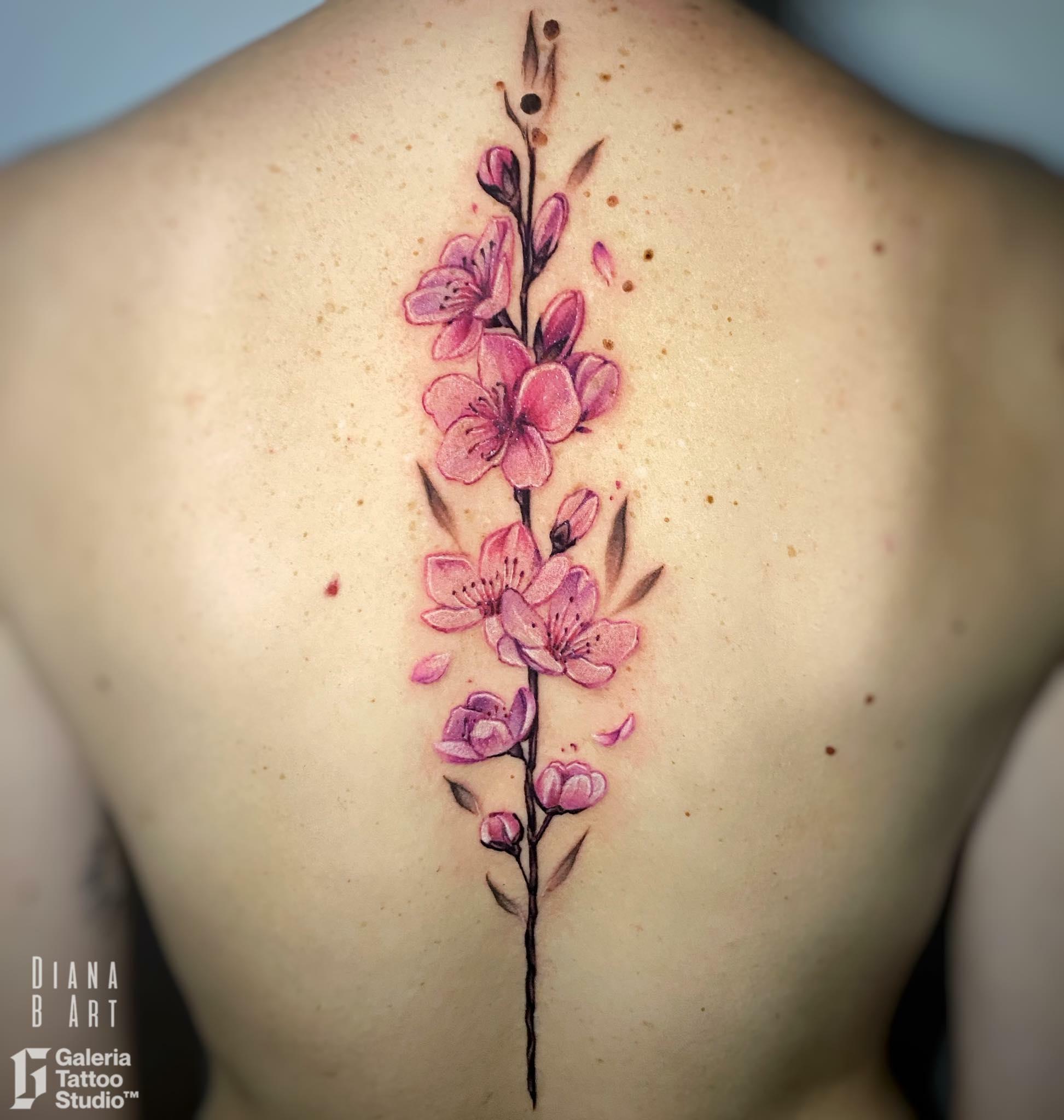Inksearch tattoo Galeria Tattoo Studio