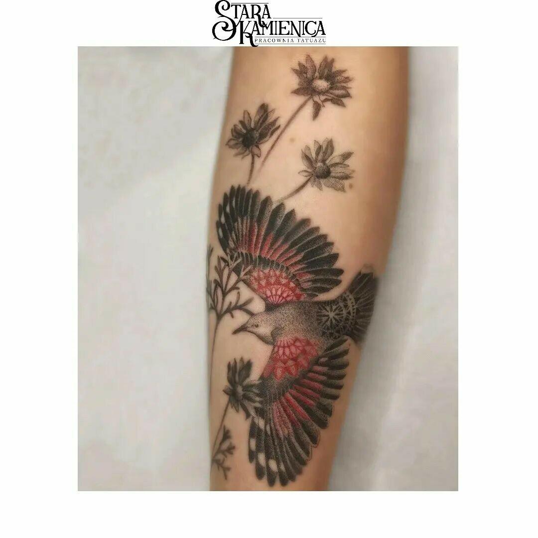 Inksearch tattoo Stara Kamienica Pracownia Tatuażu