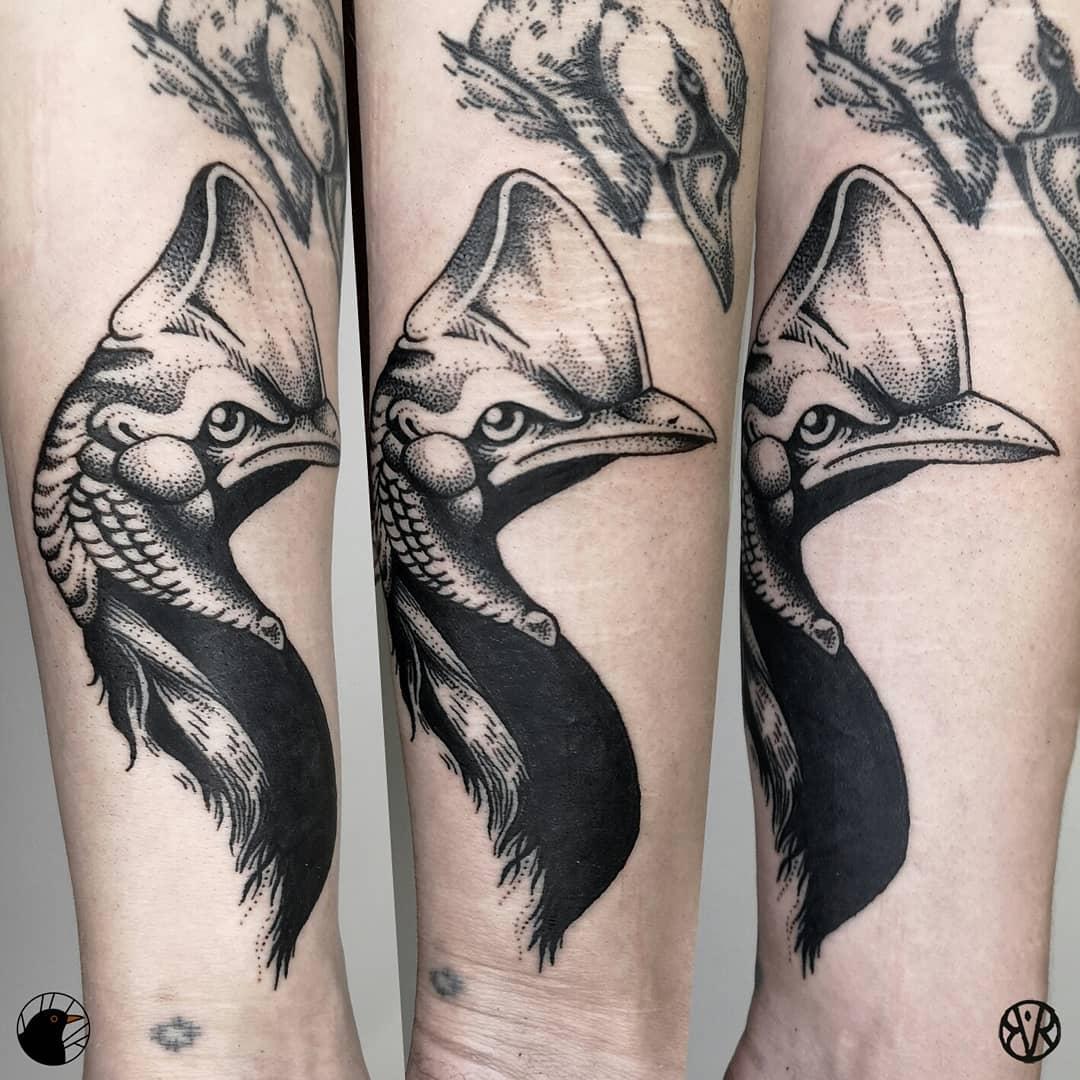 Inksearch tattoo Bogna Rumianowska